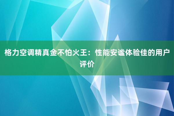 格力空调精真金不怕火王：性能安谧体验佳的用户评价